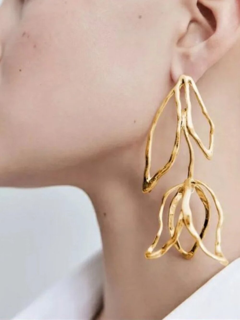 Boucles d'oreilles Zara